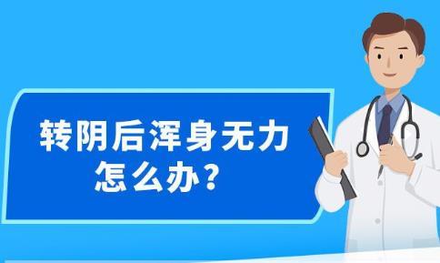 新澳精准资料，助力个人与企业的成功秘籍