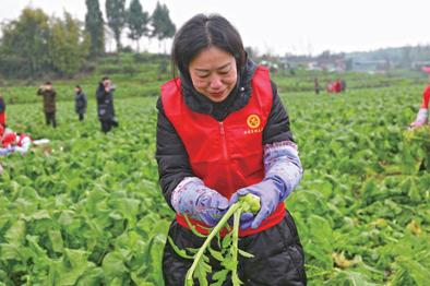 涪陵45岁至55岁招工，挖掘中年人才的无限潜力