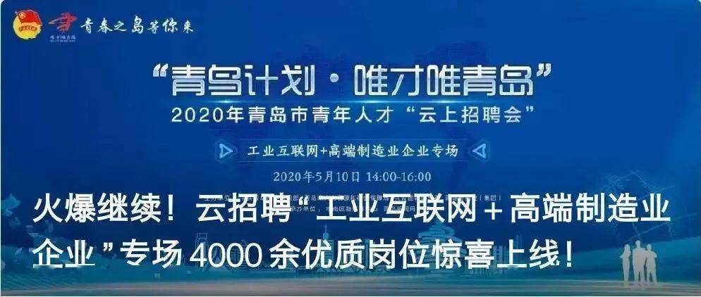 凤台人才市场招聘，探索人才市场的繁荣与发展